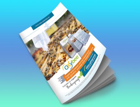 Oxybee brochure