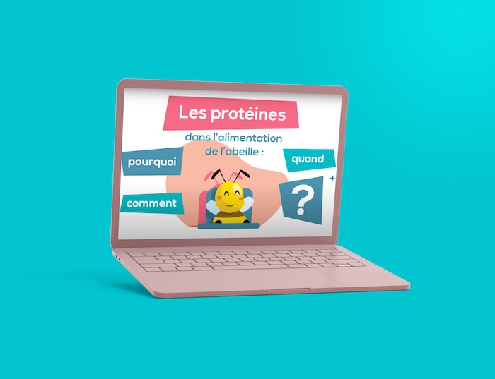 proteines-alimentation